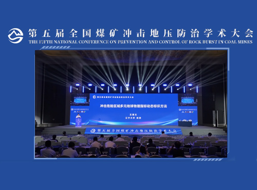 王爱文教授报告