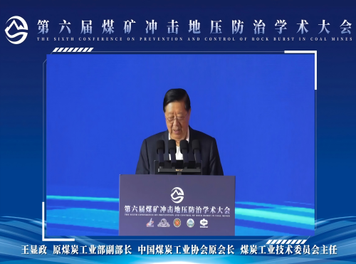 王显政主任致辞